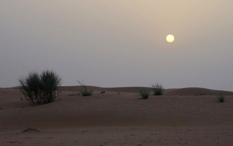 Sunset in the desert, Dubai