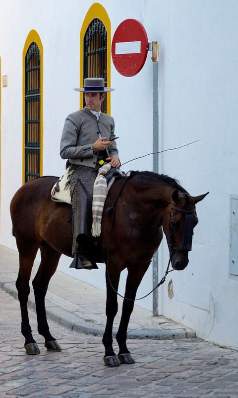 Equine flamenco, Cordoba