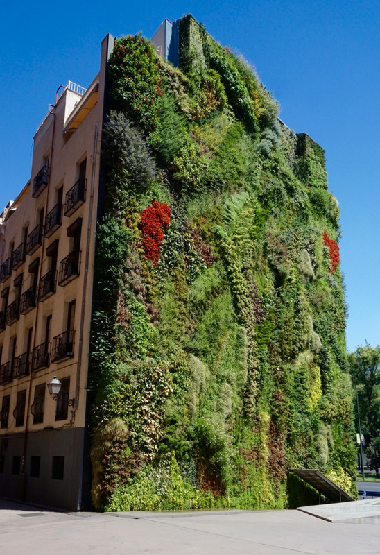 Vertical Garden, Caixa Forum, Madrid