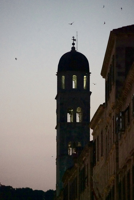 Swallows at dusk around bell tower, Stradun