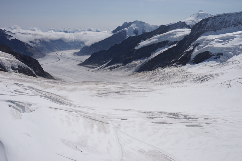 Aletsch glacier from Jungfraujoch