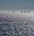 Yachts sailing off Cascais