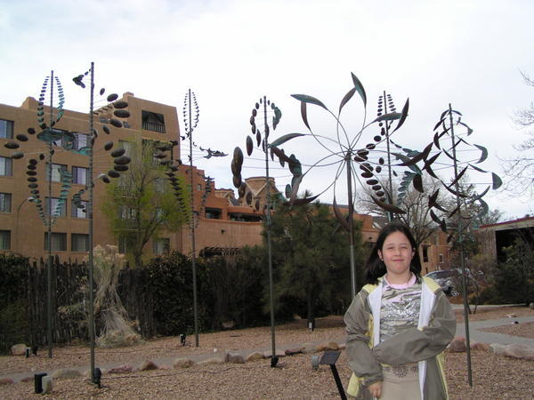 Wind Sculptures ...