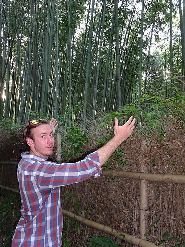 2.1431503579.bamboo-grove