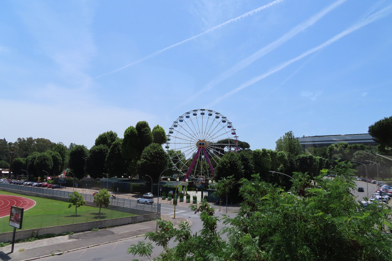 Ferris Wheel in the Park