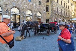 Florence - Piazza Della Signoris