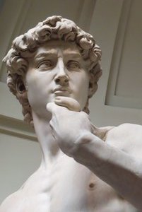 Florence - Galleria dell' Accademia "The David" 