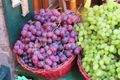 Siena - Huge Grapes!