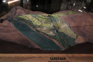 Sandeman's Vineyards