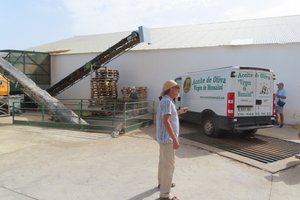 Views of the Alfarnatejo Olive Oil Plant