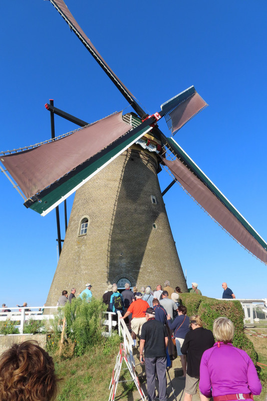 Windmill Sail Installed