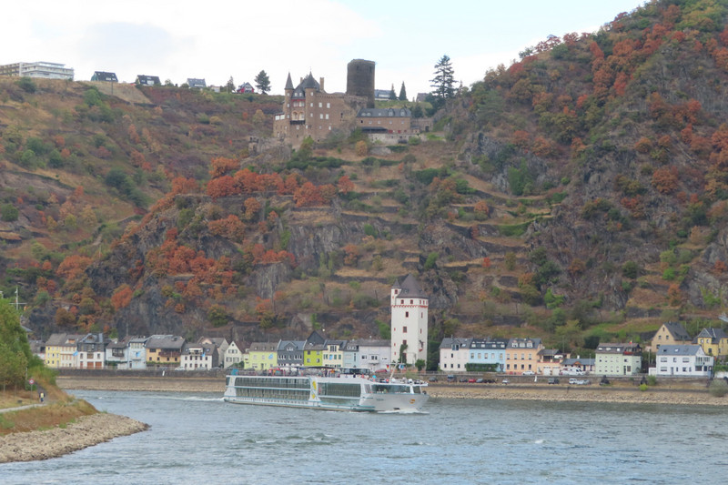Scenic Rhine Cruise - Town & Castle