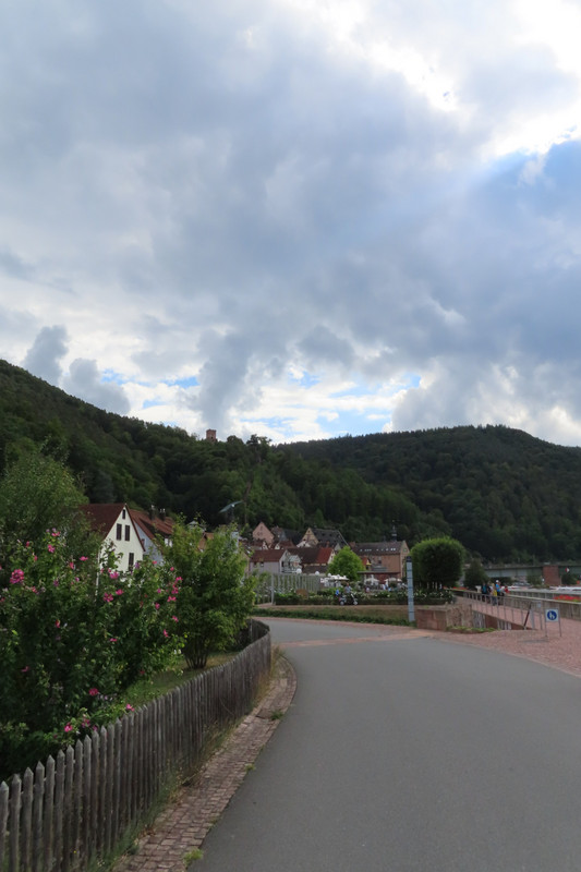 Freudenberg Castle on the Hill