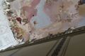 Wurzburg Residence - Ceiling Fresco