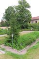 Linnaeus Garden