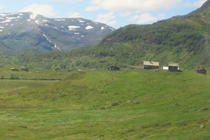Views From The Myrdal To Voss Railway