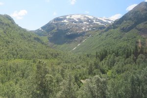 Views From The Myrdal To Voss Railway