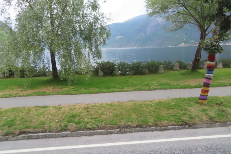 On the Road to Hardanger Plateau - Knitted Trees