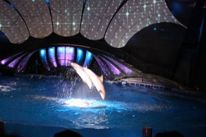 Georgia Aquarium - Dolphin Show