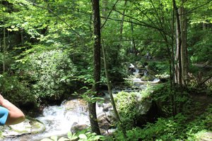 Anna Ruby Falls - View from the Trail