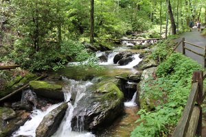 Anna Ruby Falls - View from the Trail
