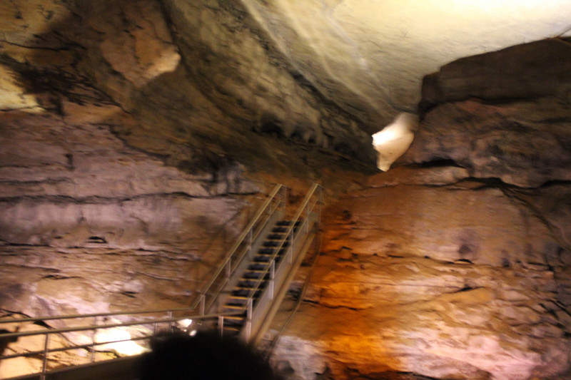 Mammoth Cave Historical - Following the Trail