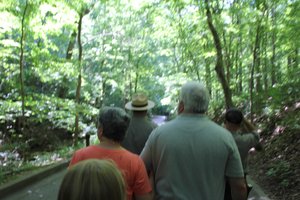 Mammoth Cave Historical - Heading To Cave