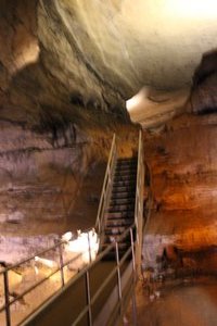 Mammoth Cave Gothic Avenue - Steps Up