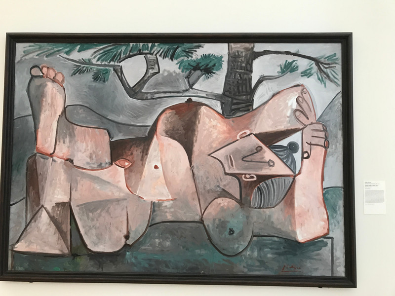 Art Institute of Chicago - Picasso - Nude Under a Pine Tree