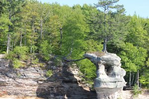 Pictured Rocks Cruise - Single Tree Formation - Note Roots