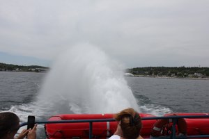 Mackinac Island - Ferry Plume Out The Back