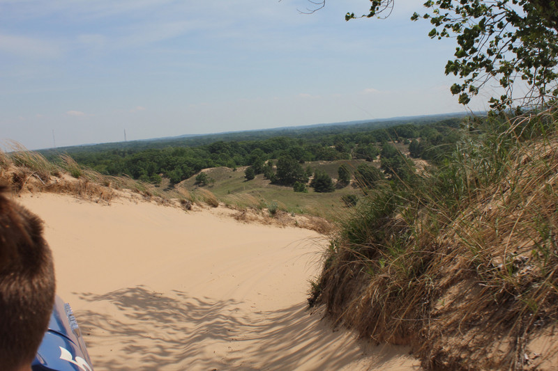 Saugatuck Dune Ride -  View of the Dunes