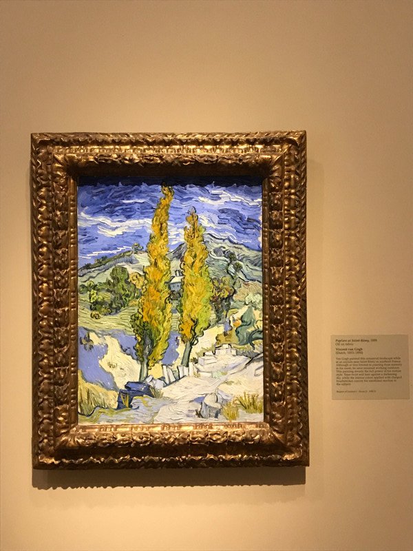 Cleveland Museum of Art - Poplars at St Remy - van Gogh