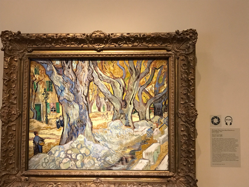 Cleveland Museum of Art - The Large Plane Trees - van Gogh