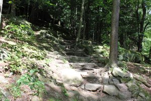 The Ledges - Steps On the Trail