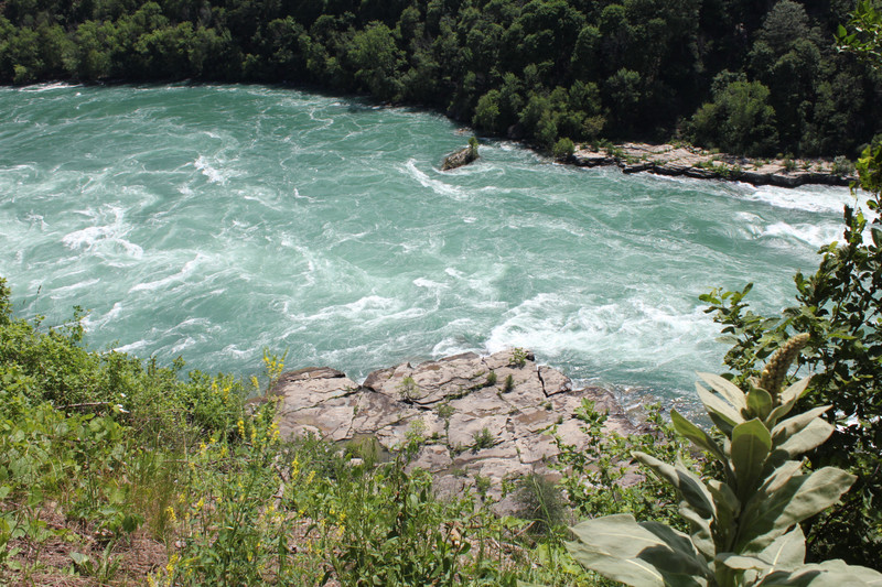Niagara Whirlpool - Niagara River Rapids