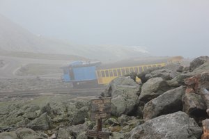 Mt Washington - Cog Railway Leaves
