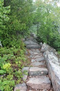 Emery Path - The Stone Step Trail