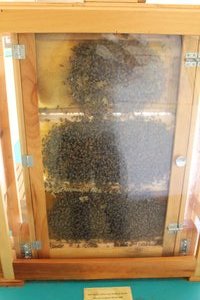 Sturbridge Village - Bee Hive