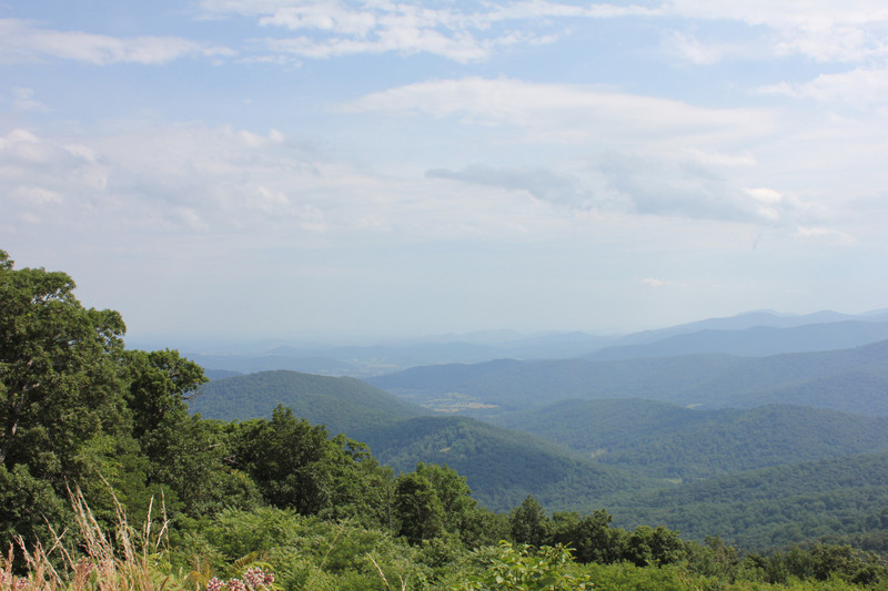 Shenandoah - View From Overlook