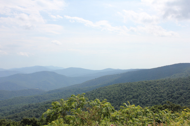 Shenandoah - View From Overlook
