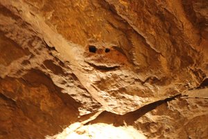 Shenandoah Caverns - Smiling Face Rock 
