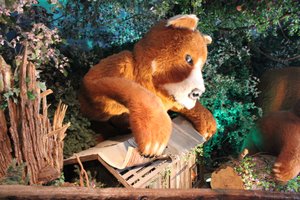 Shenandoah Caverns - Killer Teddy Bear