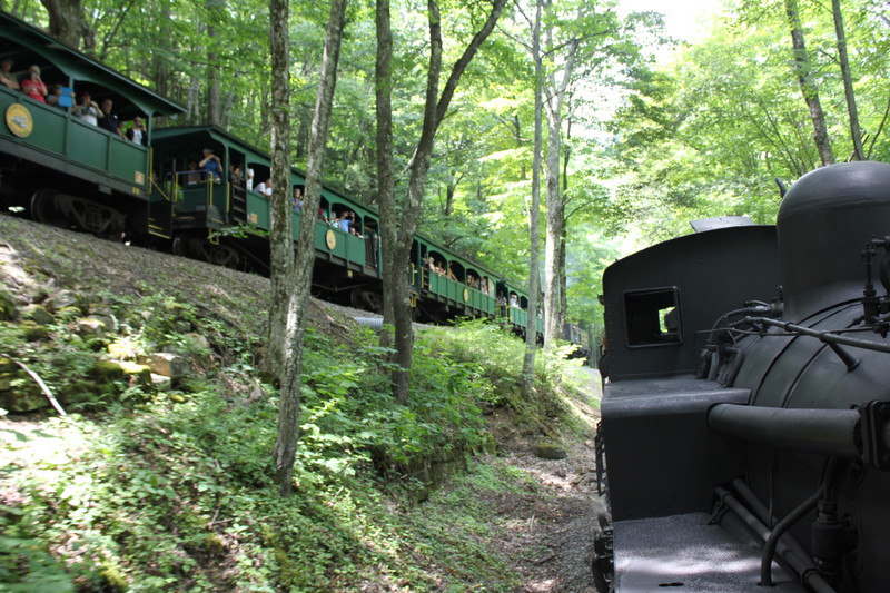 Cass Scenic Railway - Encounter On The Switchback