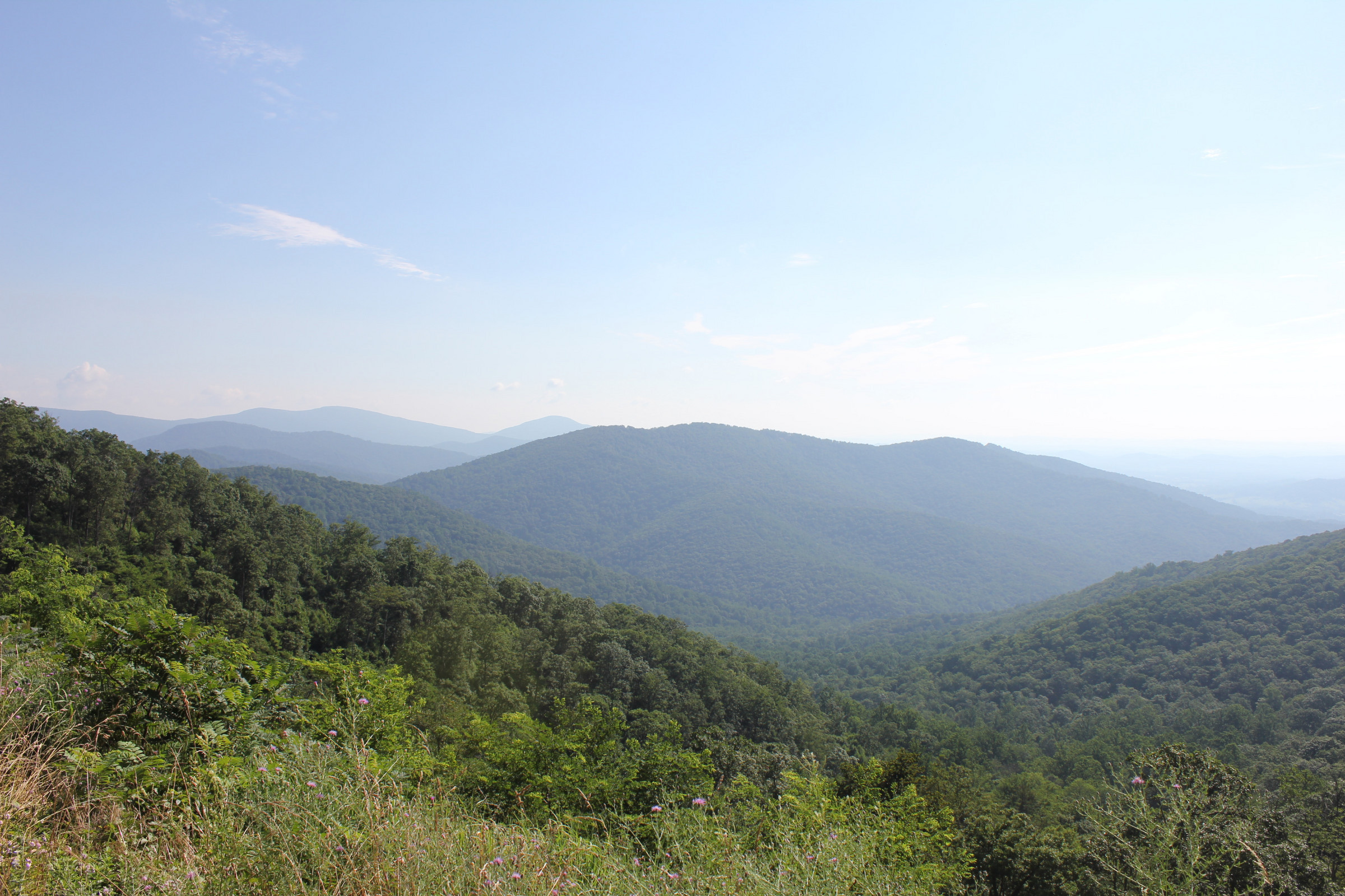 Skyline Drive - View From Mary's Rock Tunnel | Photo