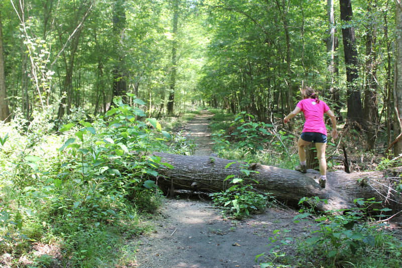 Congaree National Park - Jody Climbs Over The Downed Tree