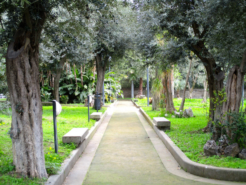 Pathway in gardens