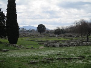 View of site from Temple of Ceres