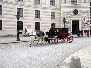 Carriage in front of Hofburg