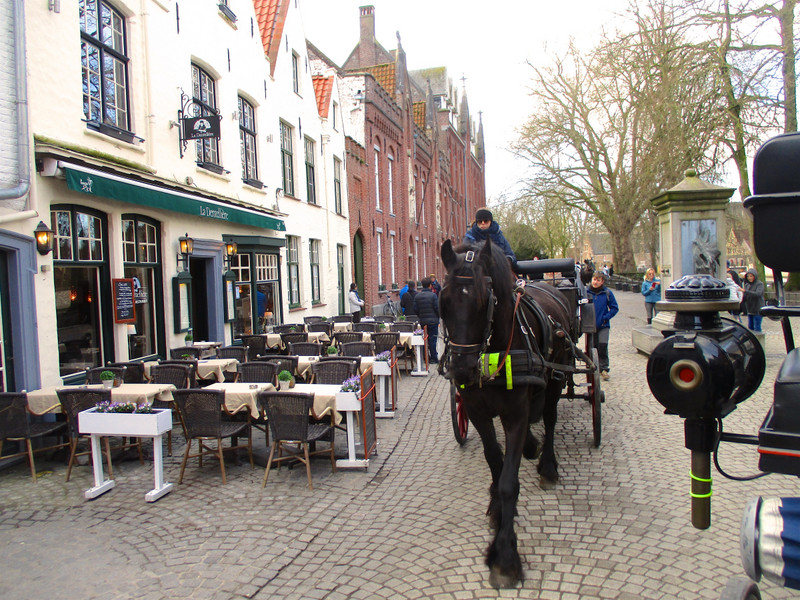 Horsing around in Bruges